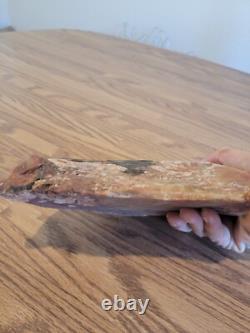 Fossile de hache géante, effigie en pierre amérindienne, art rupestre, artefacts, outils