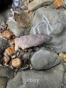 Grand Ancien Authentique Très Beau Point de Flèche en Pin de l'Est du Mississippi