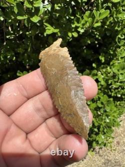 Grand Ancien Authentique Très Beau Point de Flèche en Pin de l'Est du Mississippi