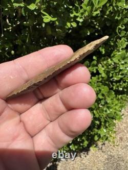 Grand Ancien Authentique Très Beau Point de Flèche en Pin de l'Est du Mississippi