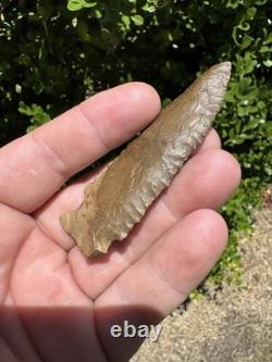 Grand Ancien Authentique Très Beau Point de Flèche en Pin de l'Est du Mississippi