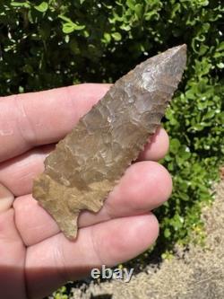 Grand Ancien Authentique Très Beau Point de Flèche en Pin de l'Est du Mississippi