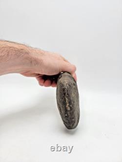 Homme Primitif Tête de Hache en Pierre à Rainure 3/4 6 1/2 x 4