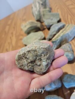 Homme chevauchant un mastodonte, pétroglyphes, artefacts d'art amérindien en pierre, outils