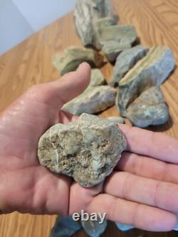 Homme chevauchant un mastodonte, pétroglyphes, artefacts d'art amérindien en pierre, outils