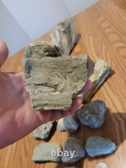 Homme chevauchant un mastodonte, pétroglyphes, artefacts d'art amérindien en pierre, outils