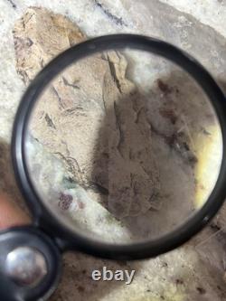 Jolie Pointe de Flèche du Texas Avec Symbolisme du Corbeau Superposée à la Mémoire/Sagesse Ancestrale