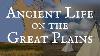 La Vie Ancienne Sur Les Grandes Plaines