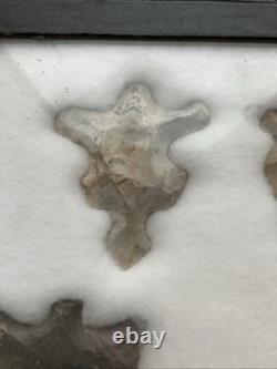 Outils et crochets d'animaux authentiques des Amérindiens