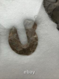 Outils et crochets d'animaux authentiques des Amérindiens