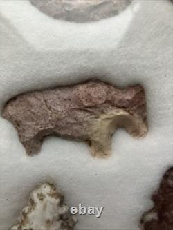 Outils et crochets d'animaux authentiques des Amérindiens