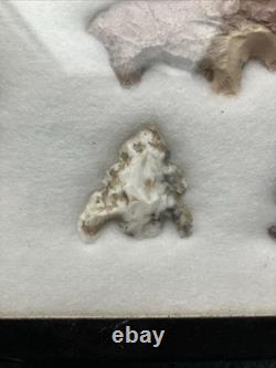 Outils et crochets d'animaux authentiques des Amérindiens