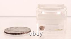 Panier Pomo Super Miniature Début/Milieu du 20ème Siècle + Boîte Loupe Taille 1