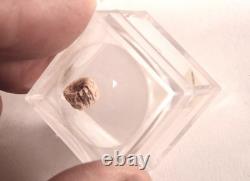 Panier Pomo Super Miniature Début/Milieu du 20ème Siècle + Boîte Loupe Taille 1