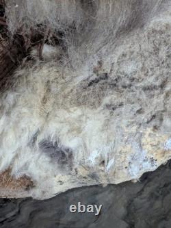 Panier amérindien rare début du 20e siècle, en fourrure de lapin - tissé à la main années 1920, 16 pouces de large