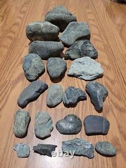 Pétroglyphe de dinosaure bleu, effigie en pierre amérindienne, art rupestre, artefacts, outils