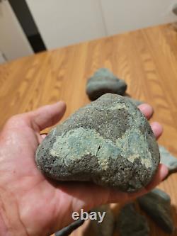 Pétroglyphe de dinosaure bleu, effigie en pierre amérindienne, art rupestre, artefacts, outils