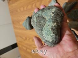 Pétroglyphe de dinosaure bleu, effigie en pierre amérindienne, art rupestre, artefacts, outils