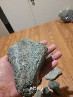 Pétroglyphe de dinosaure bleu, effigie en pierre amérindienne, art rupestre, artefacts, outils
