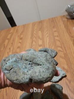 Pétroglyphe de dinosaure bleu, effigie en pierre amérindienne, art rupestre, artefacts, outils