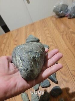 Pétroglyphe de dinosaure bleu, effigie en pierre amérindienne, art rupestre, artefacts, outils