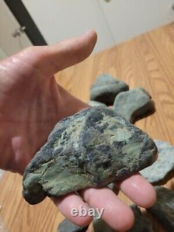 Pétroglyphe de dinosaure bleu, effigie en pierre amérindienne, art rupestre, artefacts, outils