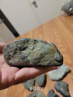 Pétroglyphe de dinosaure bleu, effigie en pierre amérindienne, art rupestre, artefacts, outils