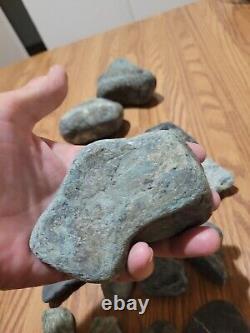 Pétroglyphe de dinosaure bleu, effigie en pierre amérindienne, art rupestre, artefacts, outils
