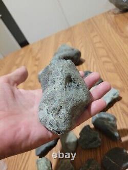 Pétroglyphe de dinosaure bleu, effigie en pierre amérindienne, art rupestre, artefacts, outils