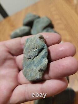 Pétroglyphe de dinosaure bleu, effigie en pierre amérindienne, art rupestre, artefacts, outils