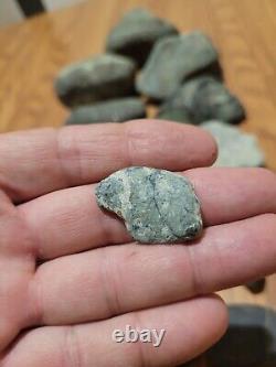 Pétroglyphe de dinosaure bleu, effigie en pierre amérindienne, art rupestre, artefacts, outils