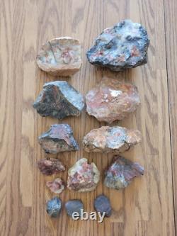 Pétroglyphe rouge, excrément de dinosaure, effigie en pierre amérindienne, art rupestre, artefacts, outils