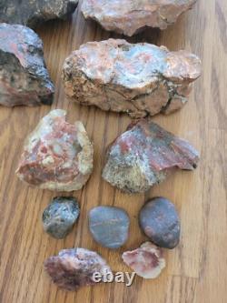 Pétroglyphe rouge, excrément de dinosaure, effigie en pierre amérindienne, art rupestre, artefacts, outils