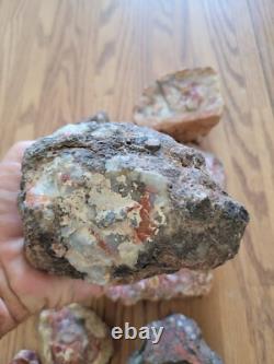 Pétroglyphe rouge, excrément de dinosaure, effigie en pierre amérindienne, art rupestre, artefacts, outils