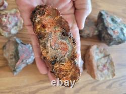 Pétroglyphe rouge, excrément de dinosaure, effigie en pierre amérindienne, art rupestre, artefacts, outils