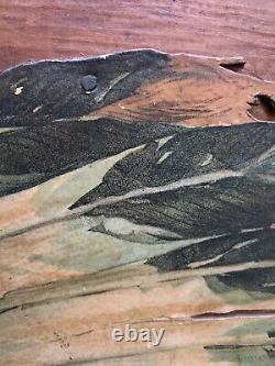 Plaque murale rare des années 1900 d'un Indien américain, Chef Minisink 24,75 x 30,75