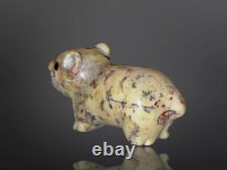 Plus beau fétiche en pierre sculpté de ours Zuni ancien par Leekya Deyuse (d.) Amérindien