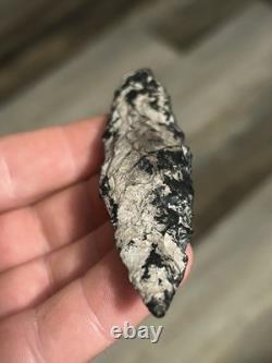 Point Lancelot en Basalte de l'Archaïque Précoce provenant de l'Oregon