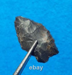 Pointe de flèche authentique paleo Spedis Oregon avec éclats précoces de 1-5/16 pouces