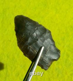 Pointe de flèche authentique paleo Spedis Oregon avec éclats précoces de 1-5/16 pouces