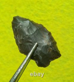 Pointe de flèche authentique paleo Spedis Oregon avec éclats précoces de 1-5/16 pouces