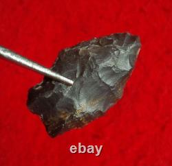 Pointe de flèche authentique paleo Spedis Oregon avec éclats précoces de 1-5/16 pouces