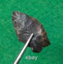 Pointe de flèche authentique paleo Spedis Oregon avec éclats précoces de 1-5/16 pouces