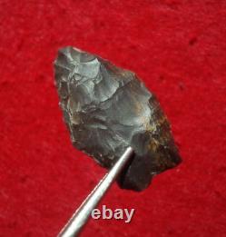 Pointe de flèche authentique paleo Spedis Oregon avec éclats précoces de 1-5/16 pouces