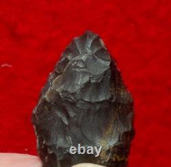 Pointe de flèche authentique paleo Spedis Oregon avec éclats précoces de 1-5/16 pouces