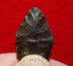 Pointe de flèche authentique paleo Spedis Oregon avec éclats précoces de 1-5/16 pouces