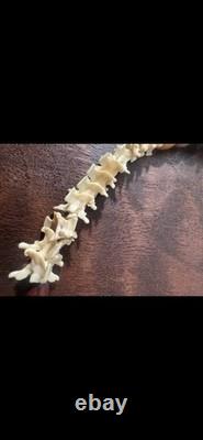 Souverains amérindiens du début des années 1900