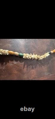 Souverains amérindiens du début des années 1900