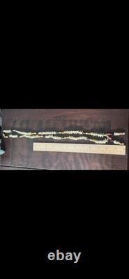 Souverains amérindiens du début des années 1900