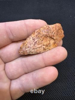 Superbe et authentique pointe de flèche en jaspe rouge ancien du Mississippi du Nord